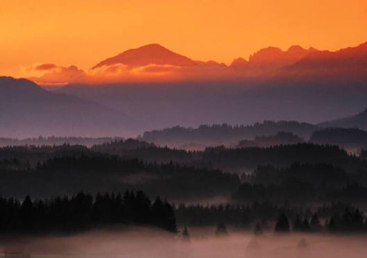 I am one, a voice crying in the wilderness...